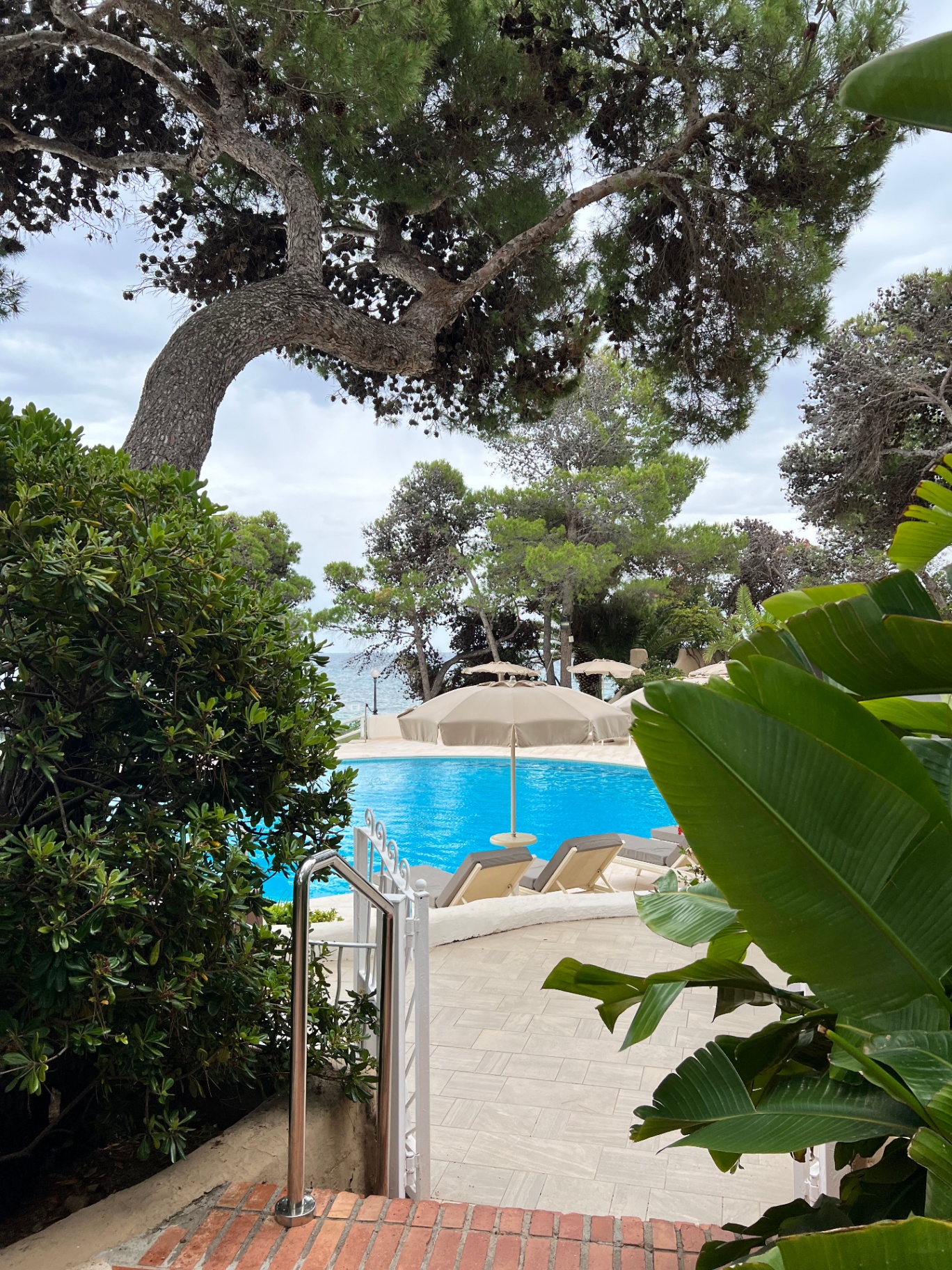 Piscina di un resort sul mare tra pini marittimi